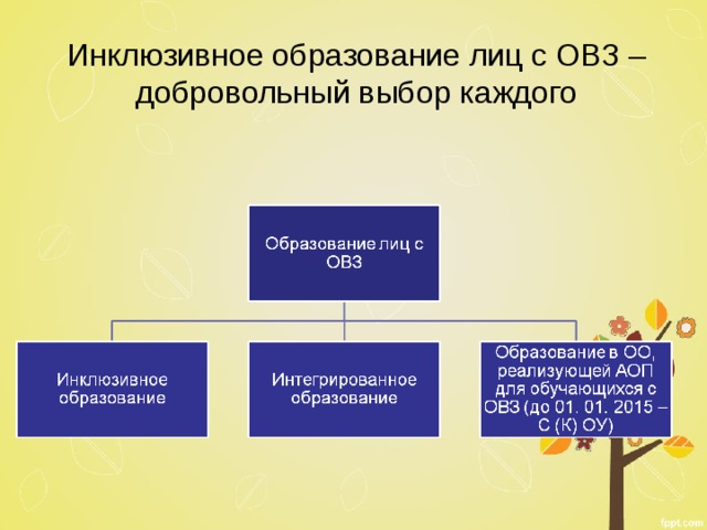 Инклюзивное образование лиц с ОВЗ – добровольный выбор каждого 