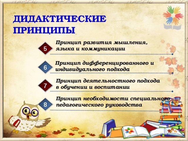 ДИДАКТИЧЕСКИЕ ПРИНЦИПЫ Принцип развития мышления, языка и коммуникации 5 Принцип дифференцированного и индивидуального подхода 6 Принцип деятельностного подхода в обучении и воспитании 7 Принцип необходимости специального педагогического руководства 8 