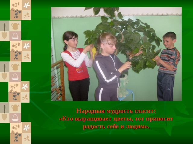 Народная мудрость гласит:  «Кто выращивает цветы, тот приносит радость себе и людям».   