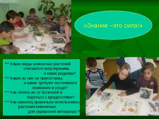 «Знание –это сила!» *** Какие виды комнатных растений  считаются популярными,  а какие редкими? *** Какие из них не прихотливы,  а какие требуют постоянного  внимания и ухода? *** Как лечить их от болезней и  бороться с вредителями? *** Как наконец правильно использовать  растения комнатные  для украшения интерьера ? 