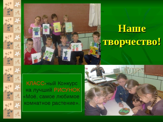 Наше творчество! КЛАСС- ный Конкурс  на лучший РИСУНОК «Моё, самое любимое комнатное растение». 