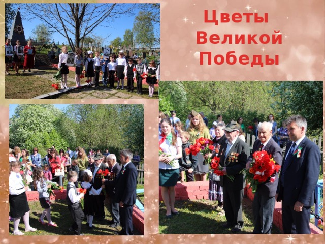 Цветы  Великой  Победы   