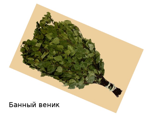 Банный веник 