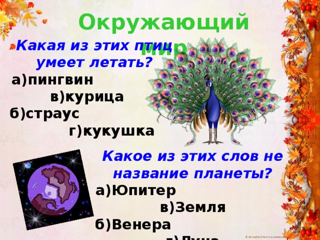 Окружающий мир Какая из этих птиц умеет летать? а)пингвин в)курица б)страус г)кукушка Какое из этих слов не название планеты? а)Юпитер в)Земля б)Венера г)Луна 
