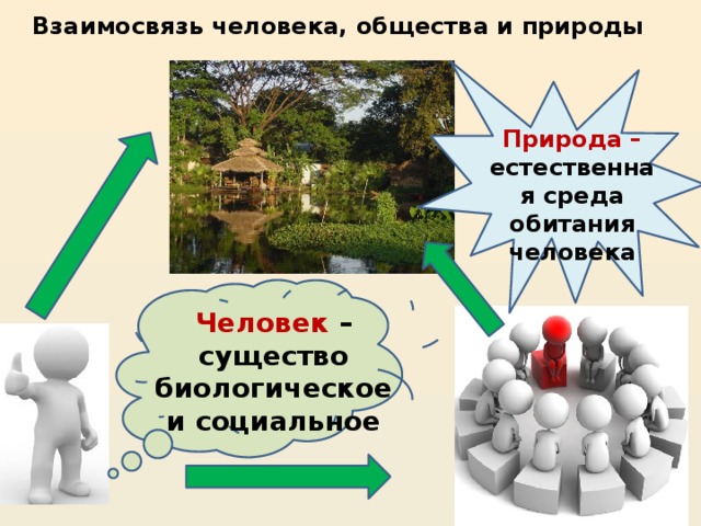 Взаимосвязь человека, общества и природы Природа – естественная среда обитания человека Человек – существо биологическое и социальное 