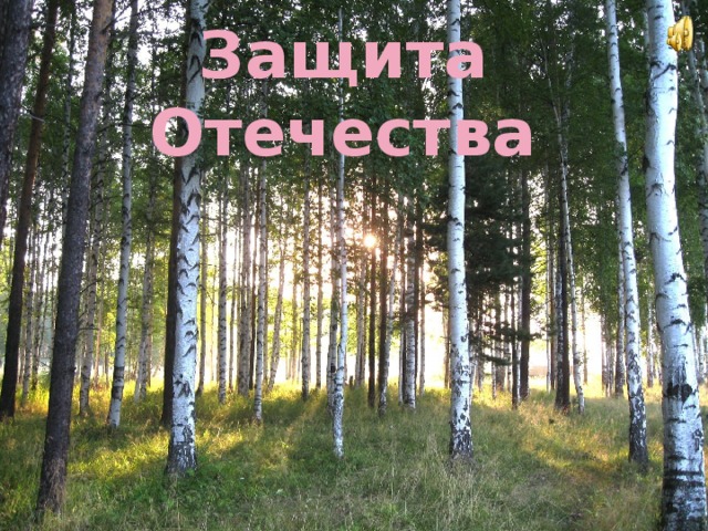 Защита Отечества 