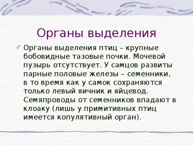 Органы выделения Органы выделения птиц – крупные бобовидные тазовые почки. Мочевой пузырь отсутствует. У самцов развиты парные половые железы – семенники, в то время как у самок сохраняются только левый яичник и яйцевод. Семяпроводы от семенников впадают в клоаку (лишь у примитивных птиц имеется копулятивный орган).  