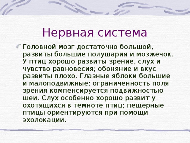Нервная система Головной мозг достаточно большой, развиты большие полушария и мозжечок. У птиц хорошо развиты зрение, слух и чувство равновесия; обоняние и вкус развиты плохо. Глазные яблоки большие и малоподвижные; ограниченность поля зрения компенсируется подвижностью шеи. Слух особенно хорошо развит у охотящихся в темноте птиц; пещерные птицы ориентируются при помощи эхолокации.  