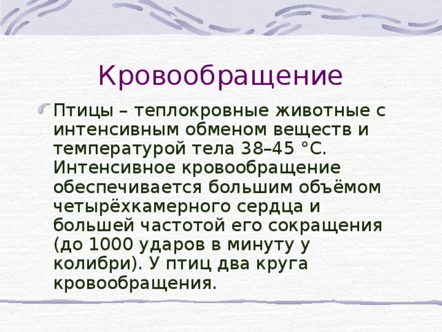 Кровообращение Птицы – теплокровные животные с интенсивным обменом веществ и температурой тела 38–45 °C. Интенсивное кровообращение обеспечивается большим объёмом четырёхкамерного сердца и большей частотой его сокращения (до 1000 ударов в минуту у колибри). У птиц два круга кровообращения. 