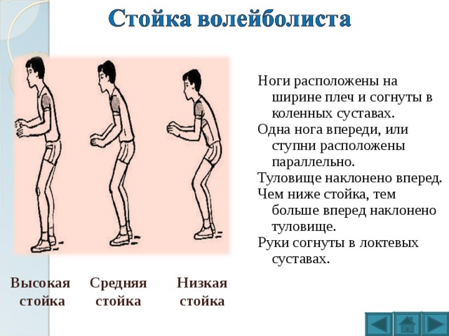  Ноги расположены на ширине плеч и согнуты в коленных суставах. Одна нога впереди, или ступни расположены параллельно. Туловище наклонено вперед. Чем ниже стойка, тем больше вперед наклонено туловище. Руки согнуты в локтевых суставах. Высокая стойка Средняя стойка Низкая стойка 
