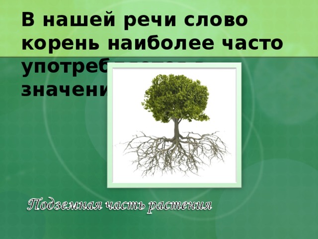 В нашей речи слово корень наиболее часто употребляется в значении: 