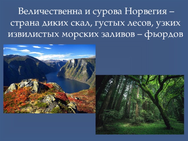  Величественна и сурова Норвегия – страна диких скал, густых лесов, узких извилистых морских заливов – фьордов 