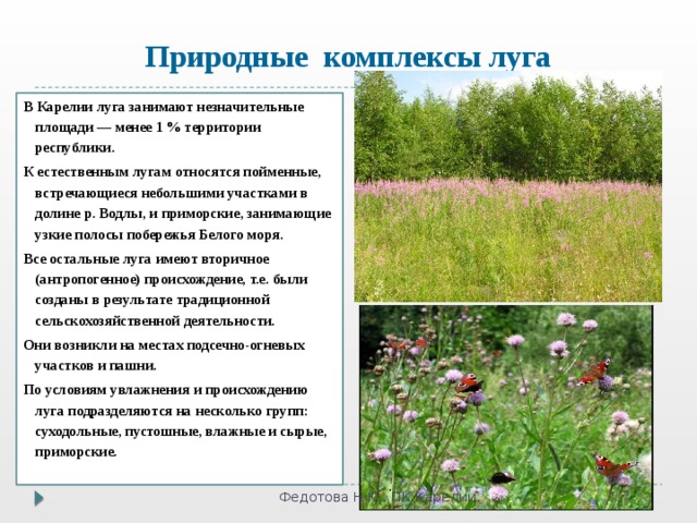 Природные комплексы луга В Карелии луга занимают незначительные площади — менее 1 % территории республики. К естественным лугам относятся пойменные, встречающиеся небольшими участками в долине р. Водлы, и приморские, занимающие узкие полосы побережья Белого моря. Все остальные луга имеют вторичное (антропогенное) происхождение, т.е. были созданы в результате традиционной сельскохозяйственной деятельности. Они возникли на местах подсечно-огневых участков и пашни. По условиям увлажнения и происхождению луга подразделяются на несколько групп: суходольные, пустошные, влажные и сырые, приморские. Федотова Н.Ю. ПК Карелии. 