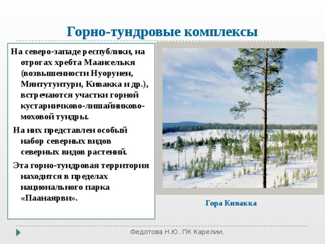 Горно-тундровые комплексы На северо-западе республики, на отрогах хребта Маанселькя (возвышенности Нуорунен, Мянтутунтури, Кивакка и др.), встречаются участки горной кустарничково-лишайниково-моховой тундры.  На них представлен особый набор северных видов северных видов растений.  Эта горно-тундровая территория находится в пределах национального парка «Паанаярви». Гора Кивакка Федотова Н.Ю. ПК Карелии. 