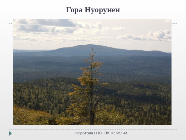 Гора Нуорунен Федотова Н.Ю. ПК Карелии. 