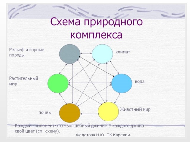 Федотова Н.Ю. ПК Карелии. 