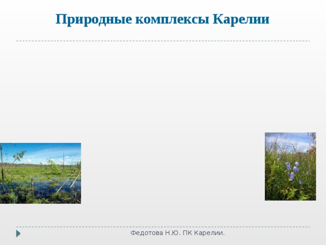 луга горно-тундровые болота прибрежно-водные Природные комплексы Карелии леса Федотова Н.Ю. ПК Карелии. 