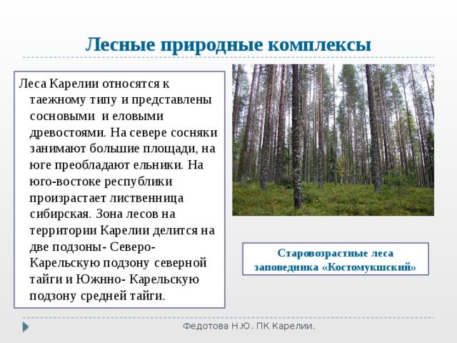 Лесные природные комплексы Леса  Карелии относятся к таежному типу и представлены  сосновыми и еловыми древостоями. На севере сосняки занимают большие площади, на юге преобладают ельники. На юго-востоке республики произрастает лиственница сибирская. Зона лесов на территории Карелии делится на две подзоны- Северо-Карельскую подзону северной тайги и Южнно- Карельскую подзону средней тайги. Старовозрастные леса заповедника «Костомукшский» Федотова Н.Ю. ПК Карелии. 
