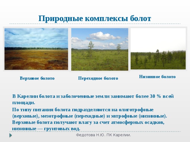 Природные комплексы болот Низинное болото Верховое болото Переходное болото В Карелии болота и заболоченные земли занимают более 30 % всей площади. По типу питания болота подразделяются на олиготрофные (верховые), мезотрофные (переходные) и эвтрофные (низинные). Верховые болота получают влагу за счет атмосферных осадков, низинные — грунтовых вод. Федотова Н.Ю. ПК Карелии. 5 