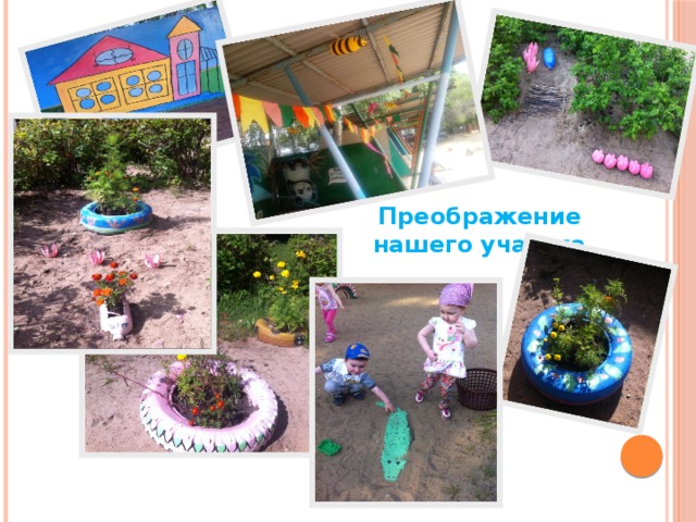Преображение нашего участка 