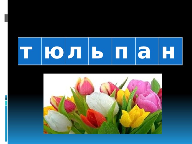 т ю л ь п а н 