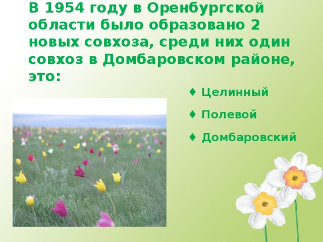 В 1954 году в Оренбургской области было образовано 2 новых совхоза, среди них один совхоз в Домбаровском районе, это: ♦ Целинный ♦ Полевой ♦ Домбаровский 