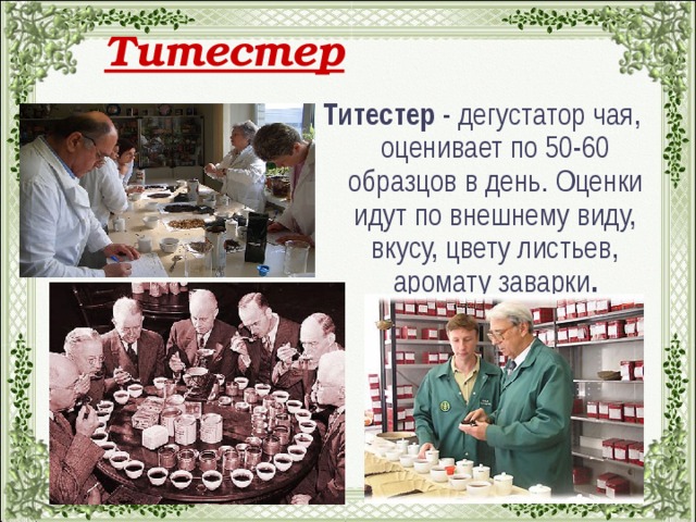 Титестер Титестер - дегустатор чая, оценивает по 50-60 образцов в день. Оценки идут по внешнему виду, вкусу, цвету листьев, аромату заварки .