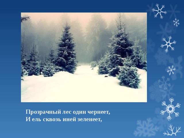 Прозрачный лес один чернеет, И ель сквозь иней зеленеет, 