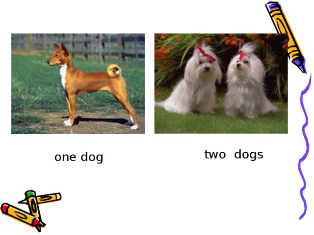 two dogs one dog 