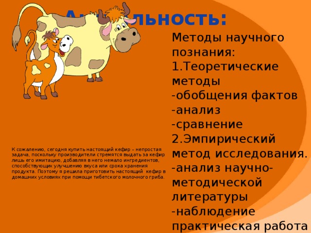 Актуальность:  Методы научного познания: 1.Теоретические методы -обобщения фактов -анализ -сравнение 2.Эмпирический метод исследования. -анализ научно- методической литературы -наблюдение практическая работа К сожалению, сегодня купить настоящий кефир – непростая задача, поскольку производители стремятся выдать за кефир лишь его имитацию, добавляя в него немало ингредиентов, способствующих улучшению вкуса или срока хранения продукта. Поэтому я решила приготовить настоящий кефир в домашних условиях при помощи тибетского молочного гриба.  