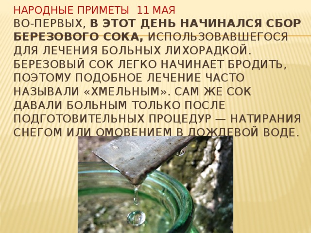 Народные приметы 11 мая  Во-первых, в этот день начинался сбор березового сока, использовавшегося для лечения больных лихорадкой. Березовый сок легко начинает бродить, поэтому подобное лечение часто называли «хмельным». Сам же сок давали больным только после подготовительных процедур — натирания снегом или омовением в дождевой воде.    