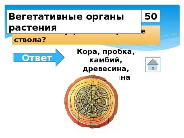 50 Вегетативные органы растения Назовите внутреннее строение ствола? Кора, пробка, камбий, древесина, сердцевина Ответ