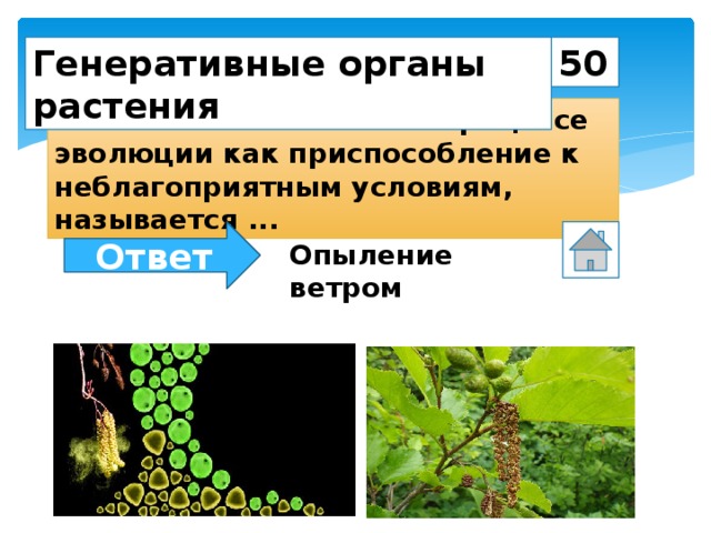50 Генеративные органы растения Опыление возникшее в процессе эволюции как приспособление к неблагоприятным условиям, называется ... Ответ Опыление ветром