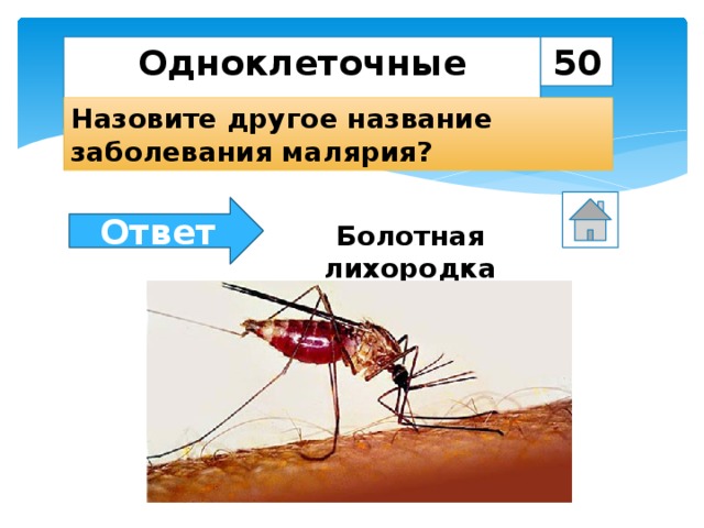 Одноклеточные животные 50 Назовите другое название заболевания малярия? Ответ Болотная лихородка