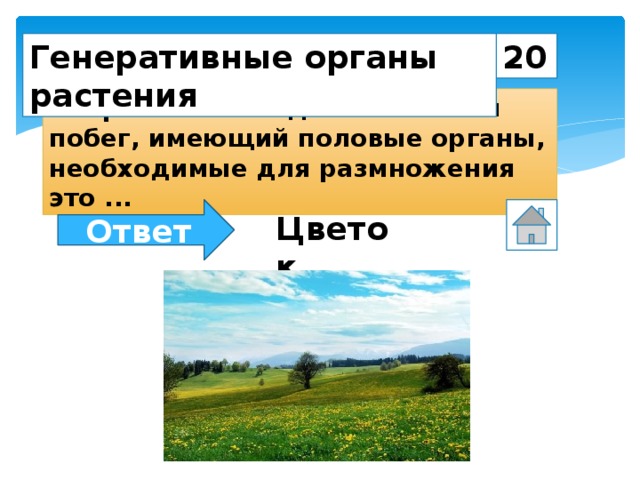 20 Генеративные органы растения Укороченный видоизмененный побег, имеющий половые органы, необходимые для размножения это ... Ответ Цветок