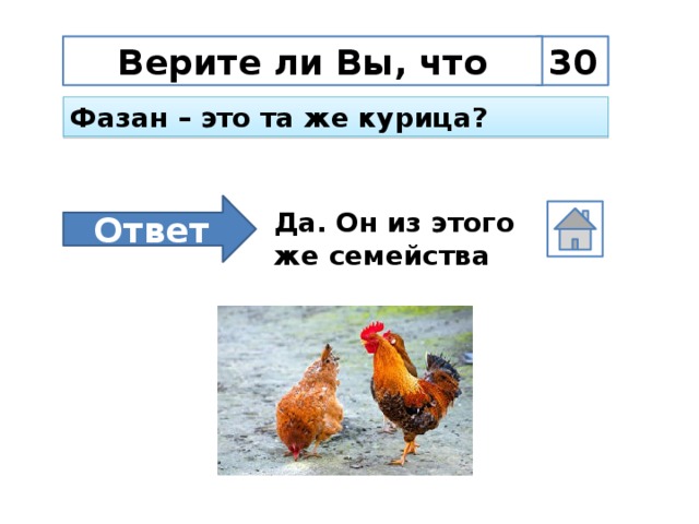 30 Верите ли Вы, что Фазан – это та же курица?  Ответ Да. Он из этого же семейства
