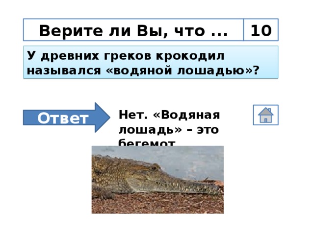 Верите ли Вы, что ... 10 У древних греков крокодил назывался «водяной лошадью»?  Ответ Нет. «Водяная лошадь» – это бегемот