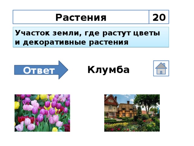 20 Растения Участок земли, где растут цветы и декоративные растения Ответ Клумба
