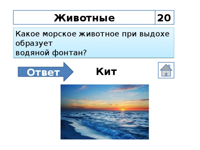 Животные 20 Какое морское животное при выдохе образует водяной фонтан? Ответ Кит