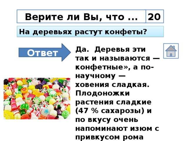20 Верите ли Вы, что ... На деревьях растут конфеты? Ответ Да.   Деревья эти так и называются — конфетные», а по-научному — ховения сладкая. Плодоножки растения сладкие (47 % сахарозы) и по вкусу очень напоминают изюм с привкусом рома
