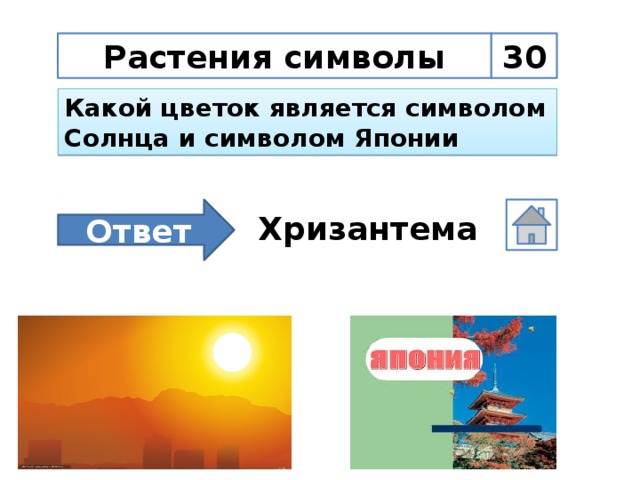 Растения символы 30 Какой цветок является символом Солнца и символом Японии Ответ Хризантема