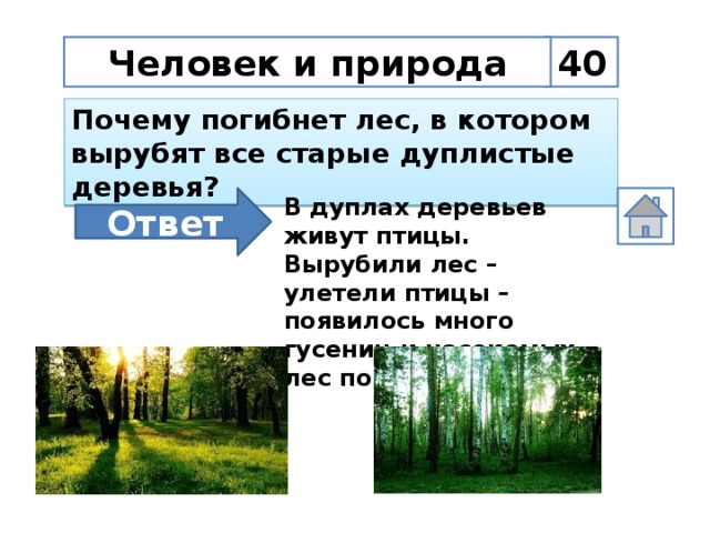40 Человек и природа Почему погибнет лес, в котором вырубят все старые дуплистые деревья? Ответ В дуплах деревьев живут птицы. Вырубили лес – улетели птицы – появилось много гусениц и насекомых – лес погиб.