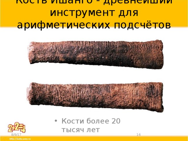 Кость Ишанго - древнейший инструмент для арифметических подсчётов Кости более 20 тысяч лет 8/9/17  