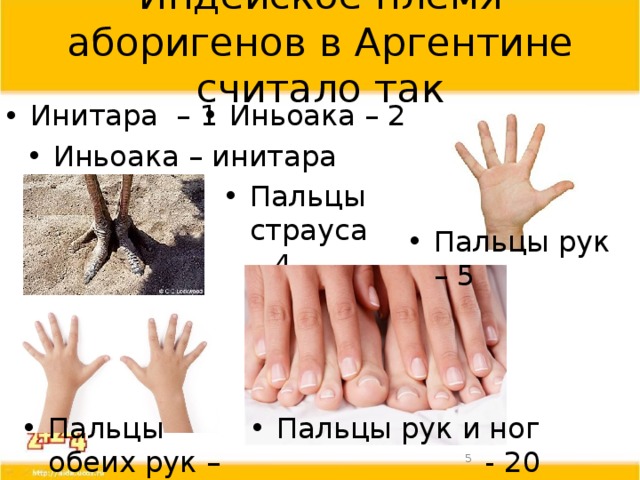 Индейское племя аборигенов в Аргентине считало так Иньоака – 2 Инитара – 1 Иньоака – инитара – 3 Пальцы страуса – 4 Пальцы рук – 5 Пальцы обеих рук – 10 Пальцы рук и ног - 20  