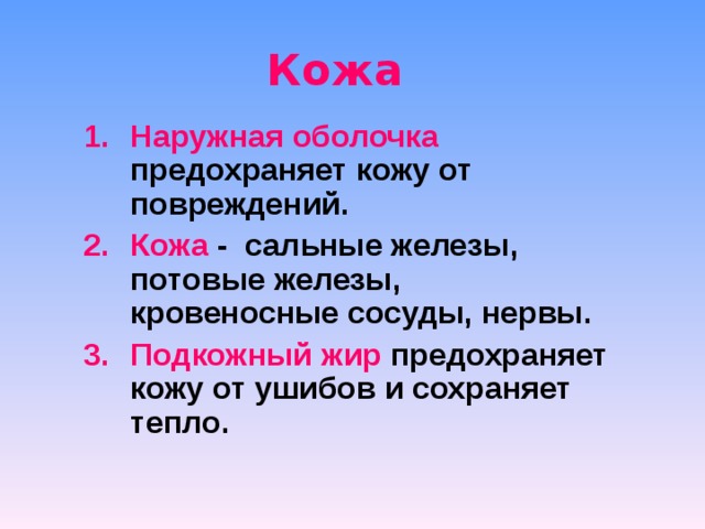 Кожа
