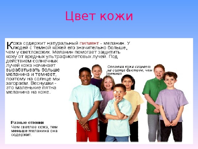Цвет кожи