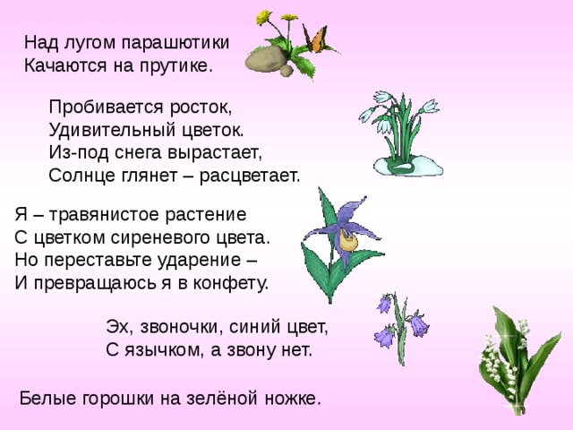 Над лугом парашютики Качаются на прутике. Пробивается росток, Удивительный цветок. Из-под снега вырастает, Солнце глянет – расцветает. Я – травянистое растение С цветком сиреневого цвета. Но переставьте ударение – И превращаюсь я в конфету. Эх, звоночки, синий цвет, С язычком, а звону нет. Белые горошки на зелёной ножке.