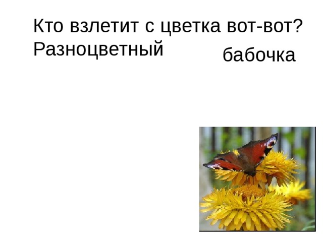 Кто взлетит с цветка вот-вот?  Разноцветный  бабочка