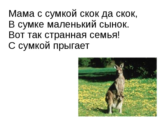 Мама с сумкой скок да скок,  В сумке маленький сынок.  Вот так странная семья!  С сумкой прыгает