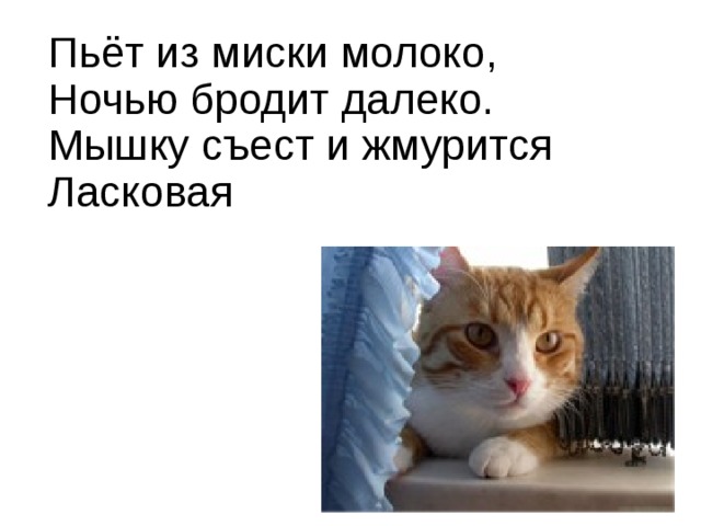 Пьёт из миски молоко,  Ночью бродит далеко.  Мышку съест и жмурится  Ласковая